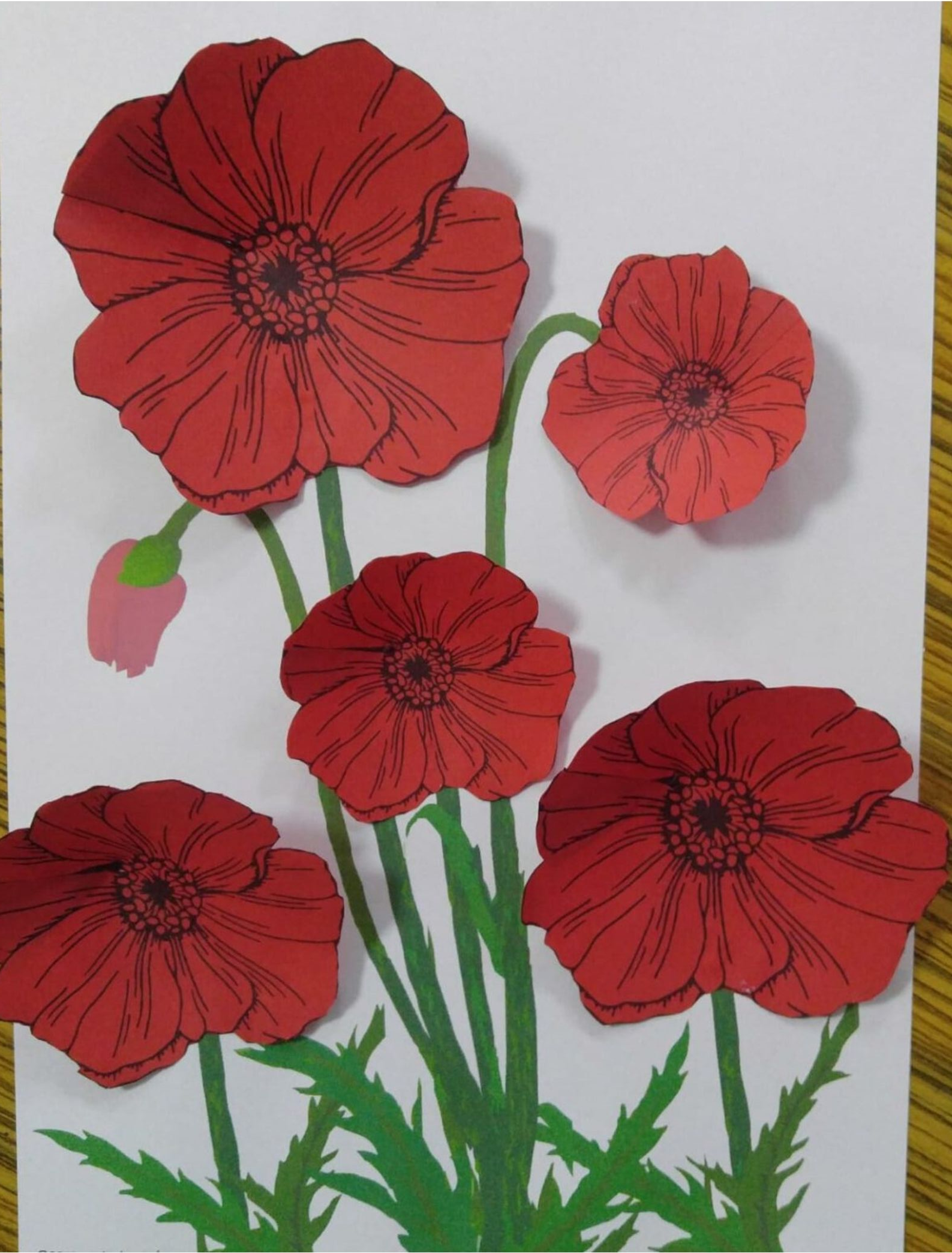 Gelincik Etkinliği Dallı