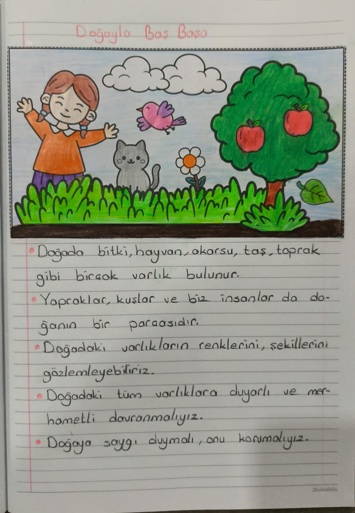 Doğayla Baş Başa Konu Özeti