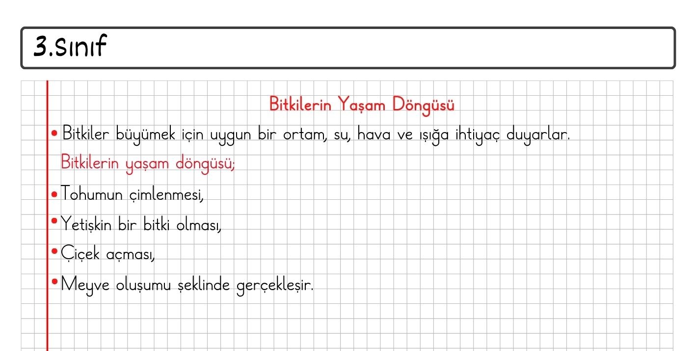 Bitkinin Yaşam Döngüsü Konu Özeti