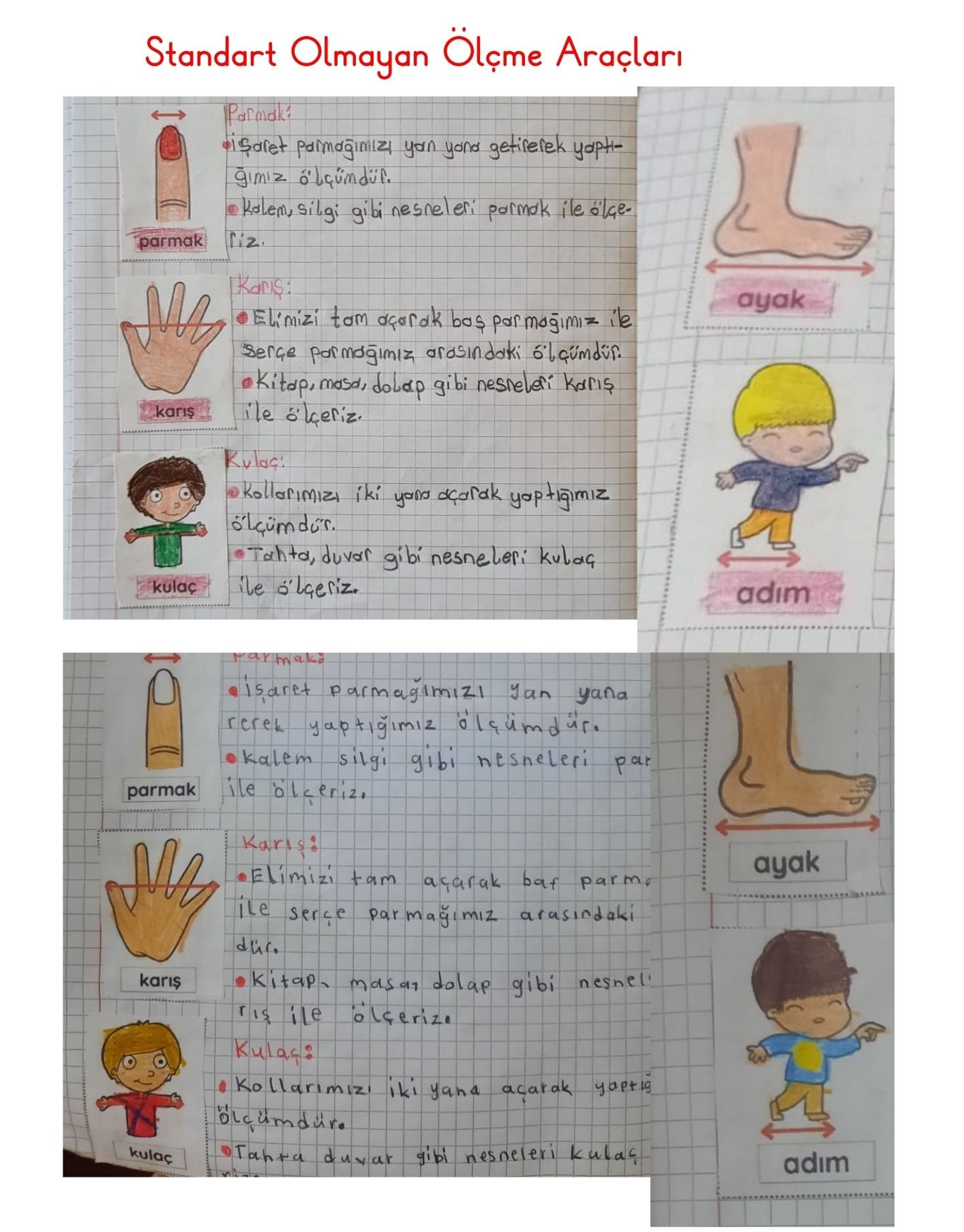 Standart Olmayan Uzunluk Ölçüleri Defter Çalışması 2