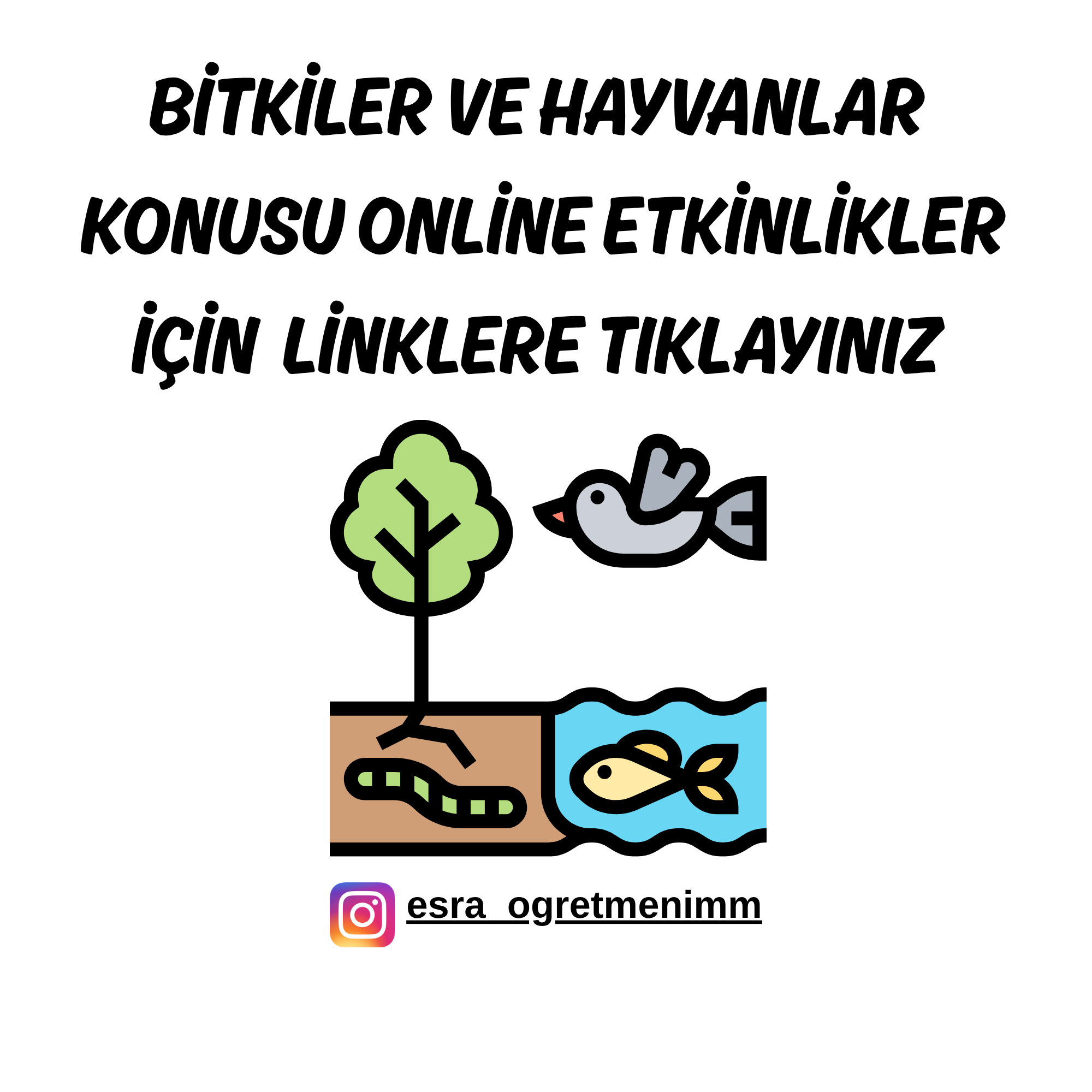 Bitkiler ve Hayvanlar Online Etkinlikler İçin TIKLAYINIZ