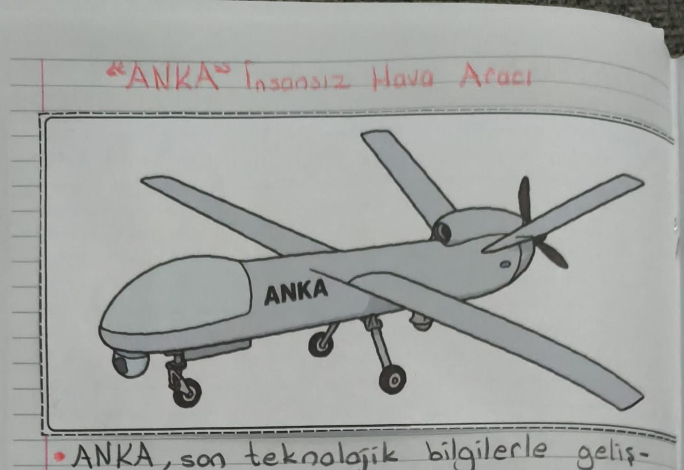 Anka Boyama ve Defter Çalışması