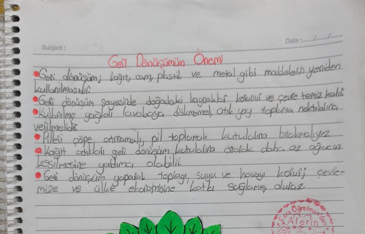 Geri Dönüşümün Önemi Konu Özeti