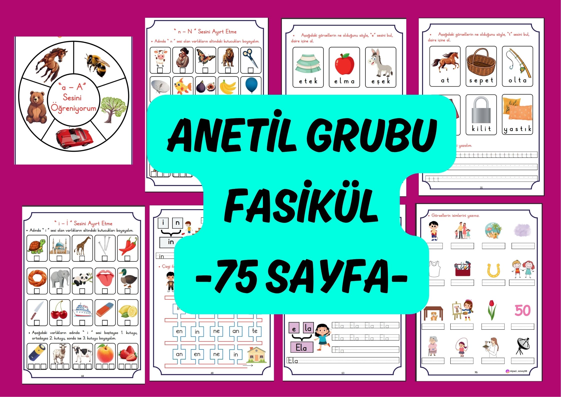 ANETİL Fasikül