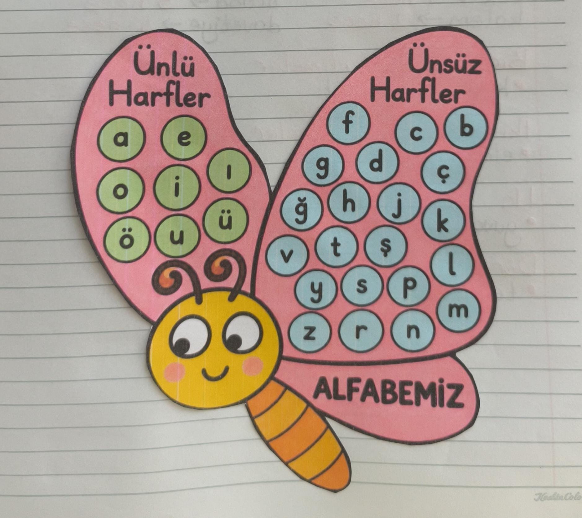 Ünlü Ünsüz Harf Defter Çalışması Kelebekli