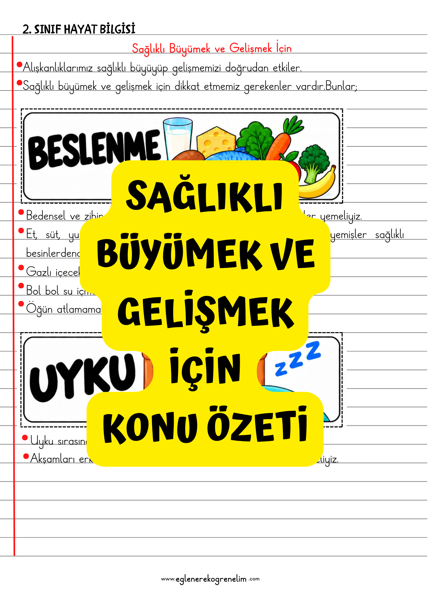 2.Sınıf Hayat Bilgisi Sağlıklı Büyüme ve Gelişmek İçin Konu Özeti