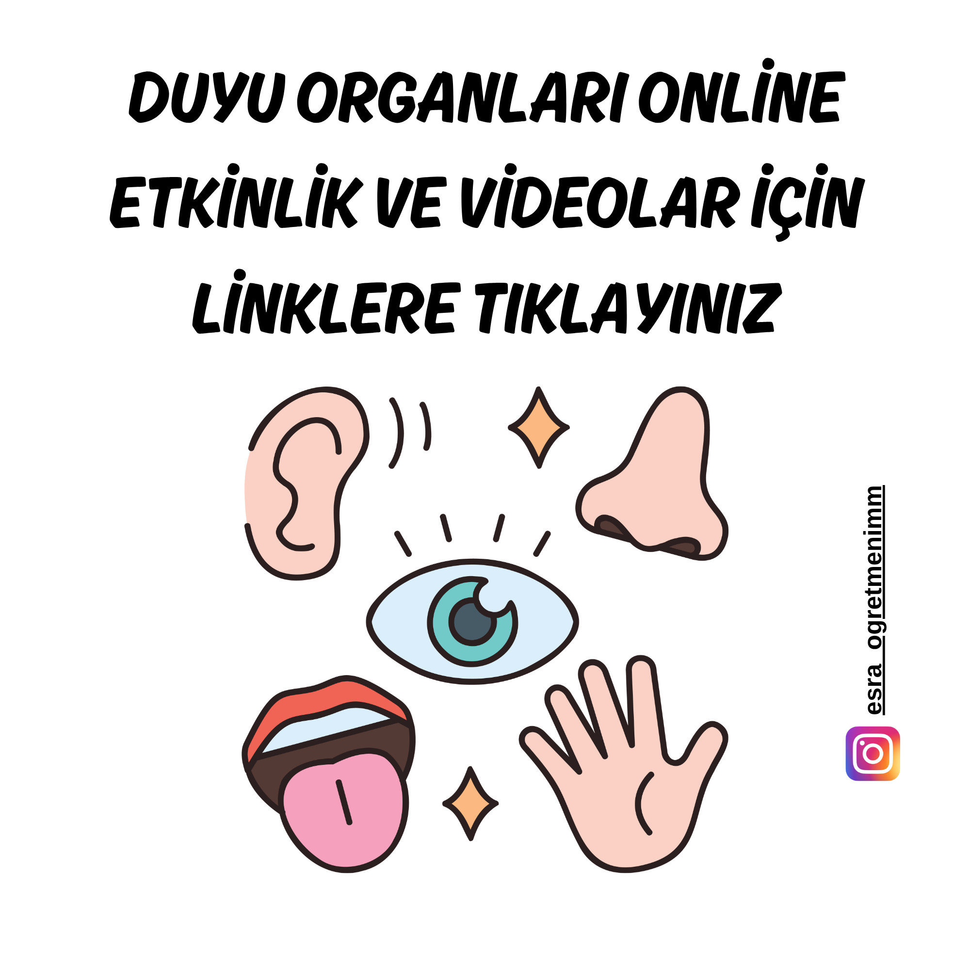 Duyu Organları Online Etkinlikler