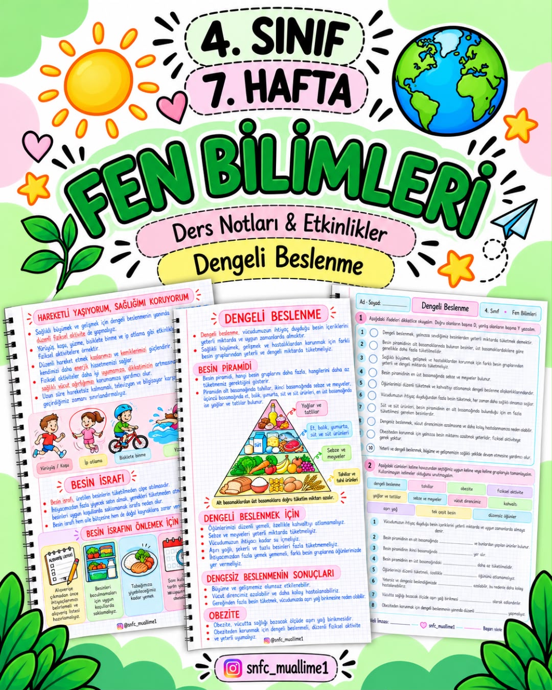 4. Sınıf Dengeli Beslenme Konu Özeti ve Etkinlik