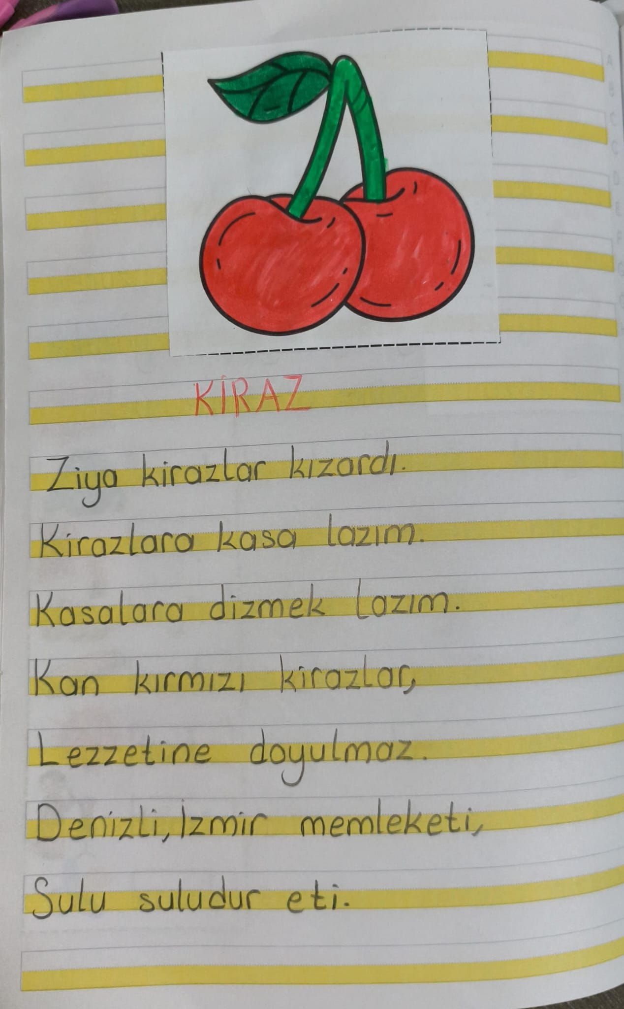 Z Sesi Kiraz Metni Defter Çalışması