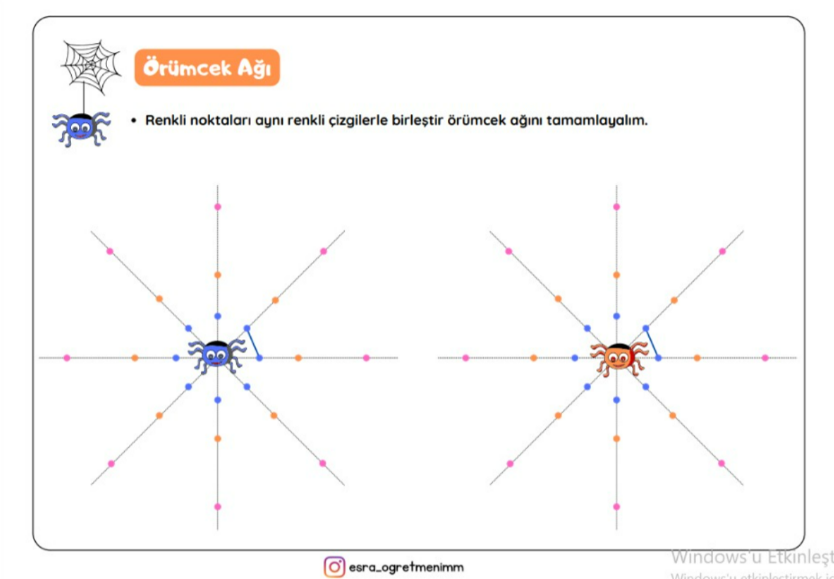 Örümcek Ağı Düz Çizgi İle Tamamla