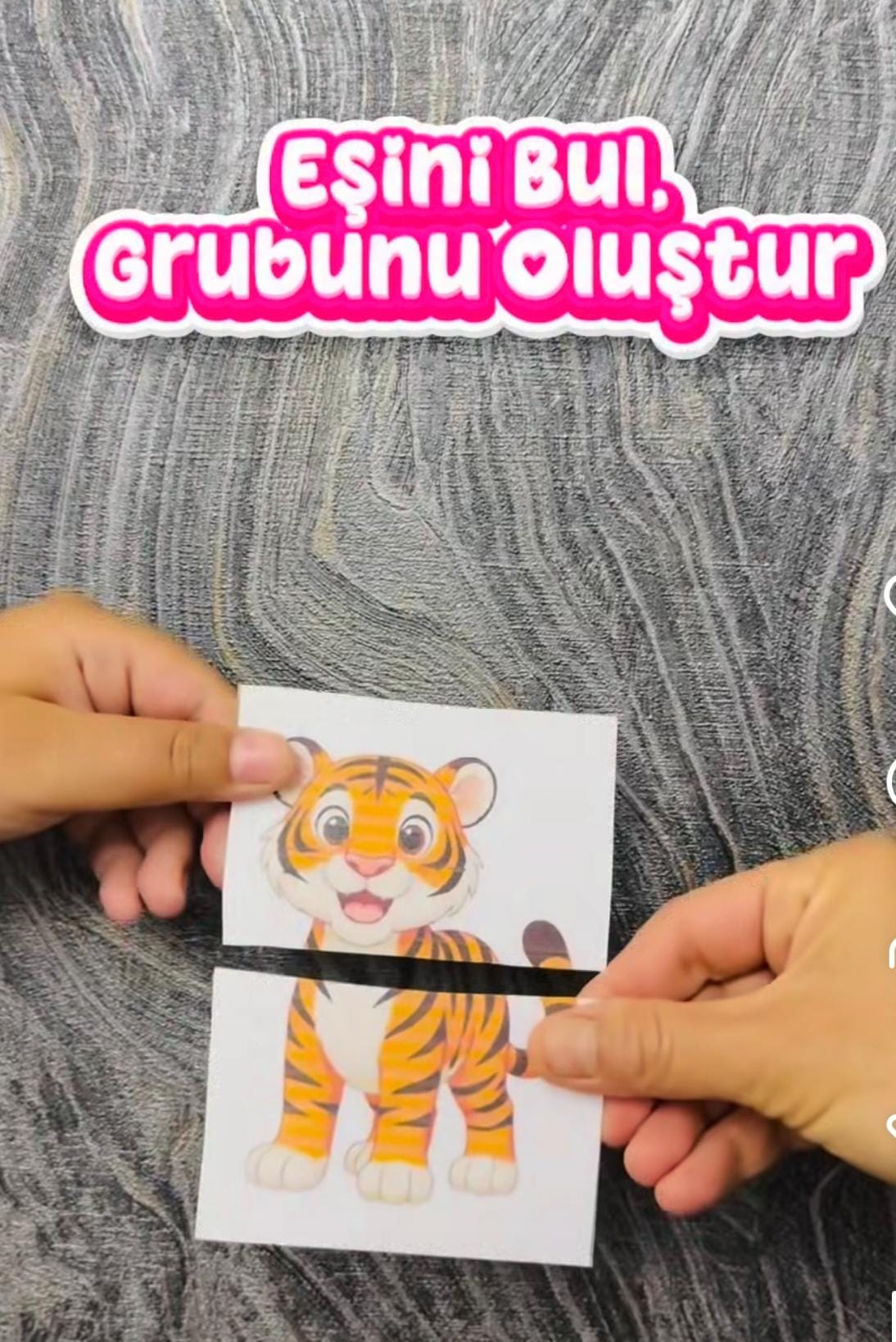 Eşini Bul Oyunu Hayvanlı