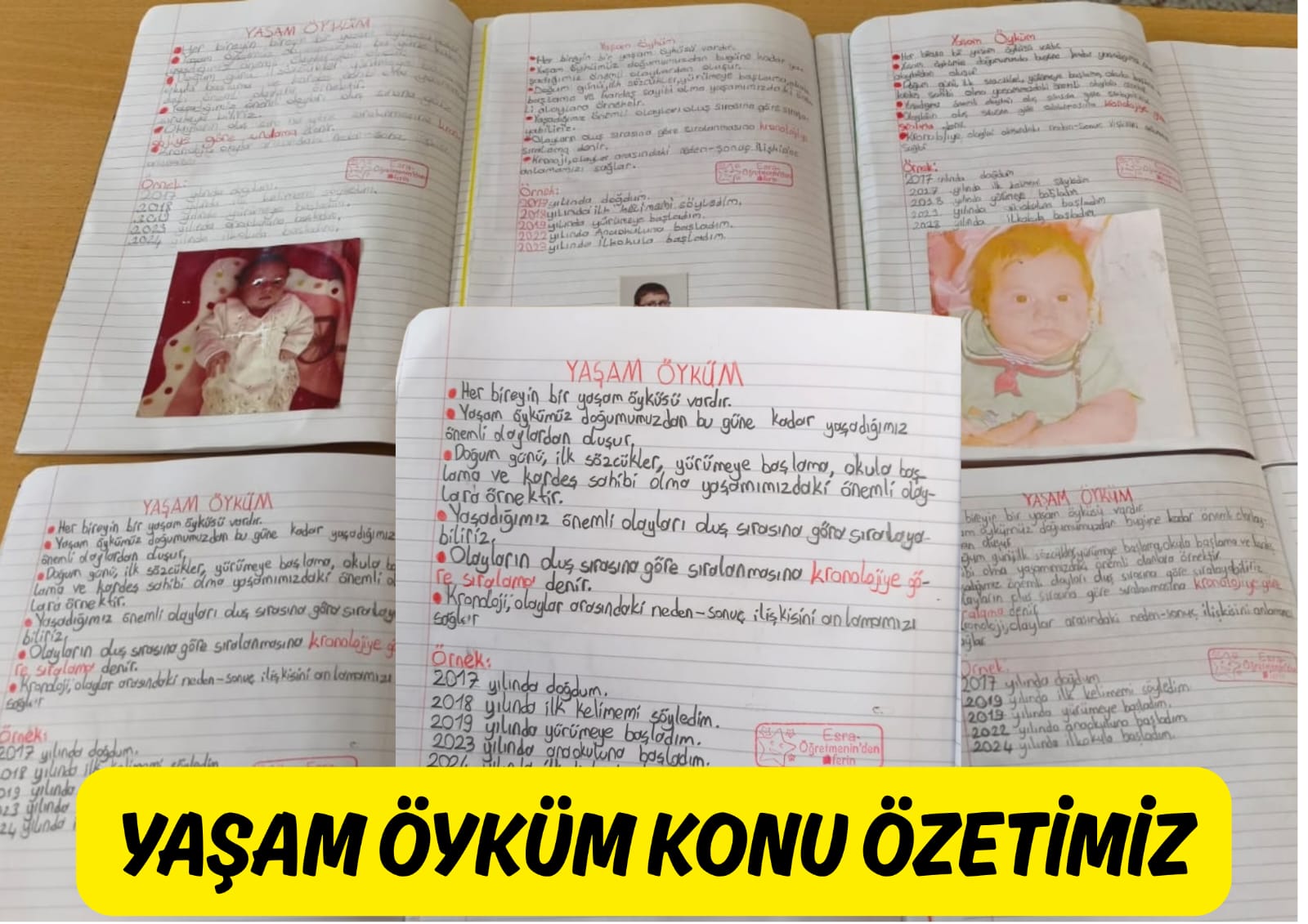 Yaşam Öyküm Konu Özeti