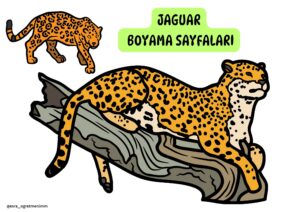 jaguar-boyama-sayfalari