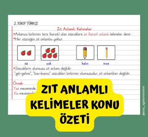 zit-anlamli-kelimeler-konu-ozetimiz