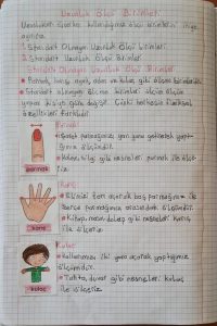 standart-olmayan-uzunluk-olculeri-konu-ozeti