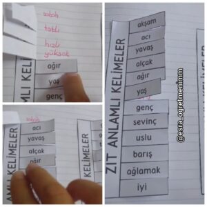zit-anlamli-kelimeler-defter-calismasi