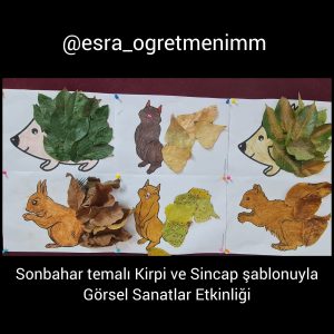 sonbahar-etkinligi-kirpi-ve-sincap