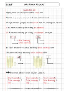 1-sinif-basamak-adlari-konu-ozeti