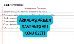 arkadaslarimin-davranislari-konu-ozeti