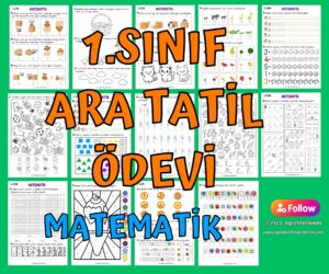 1-sinif-kasim-ayi-ara-tatil-etkinlikleri-matematik-dersi-10-a-kadar