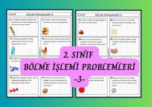 2-sinif-bolme-islemi-problemleri