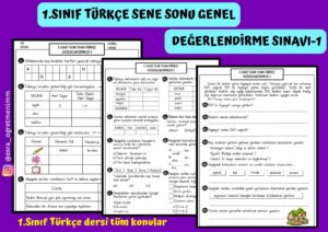 1-sinif-turkce-sene-sonu-genel-degerlendirme-sinavi-1