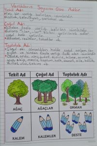 tekil-cogul-topluluk-adlari-konu-ozeti