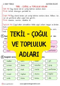 tekil-cogul-ve-topluluk-adları-konu-ozeti