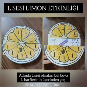 l-sesi-limon-etkinligi