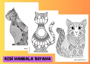 mandala-kedi