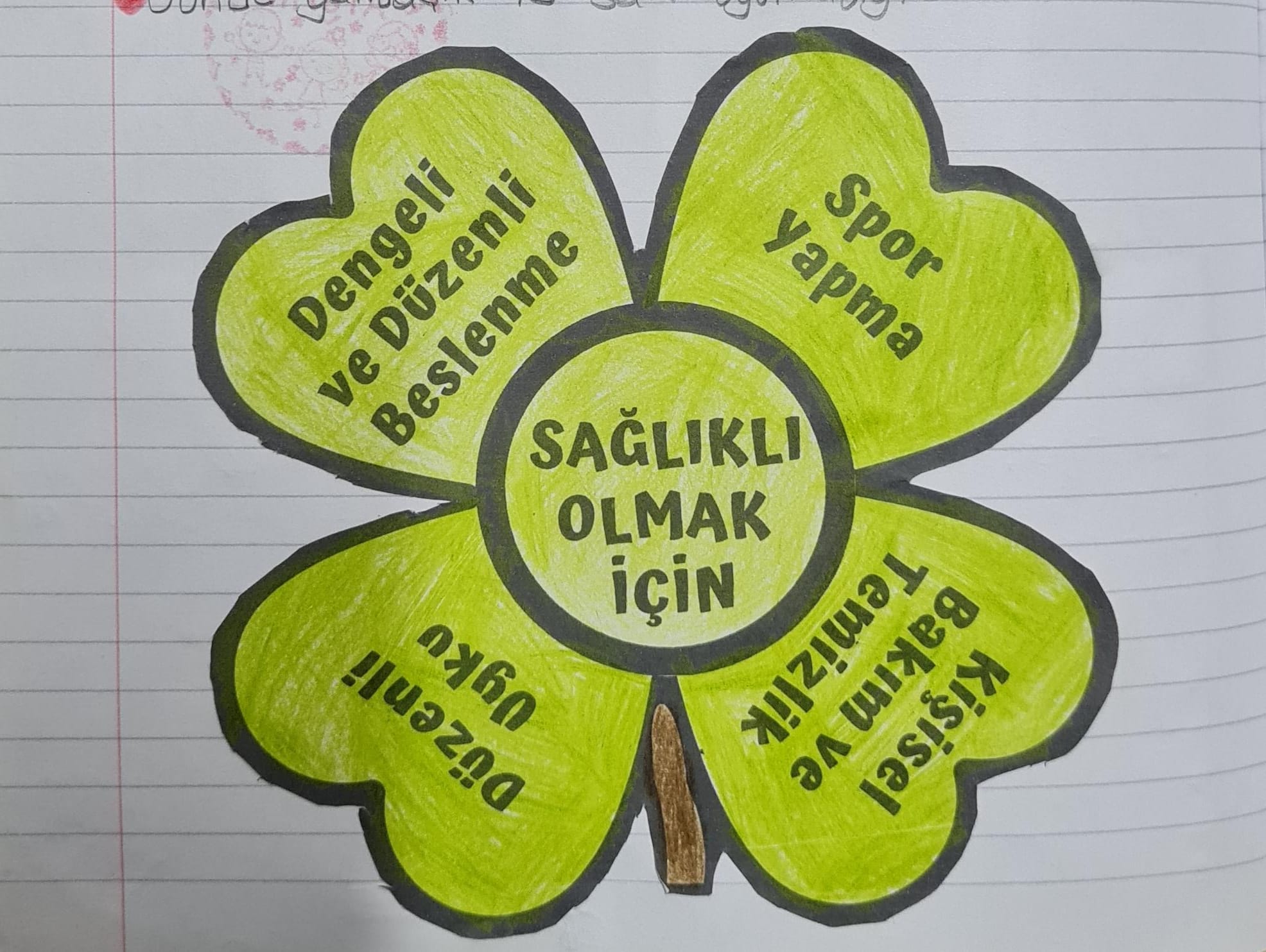 2.Sınıf Hayat Bilgisi Sağlıklı Büyüme ve Gelişme Defter Çalışması Yoncalı
