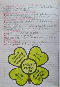2-sinif-hayat-bilgisi-saglikli-buyume-ve-gelisme-konu-ozeti