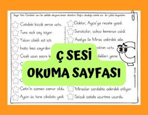 c-sesi-cumleleri-okuma-sayfasi