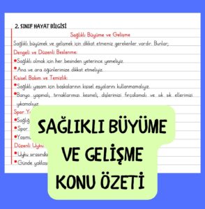 ikinci-sinif-hayat-bilgisi-saglikli-buyume-ve-gelisme-konu-ozeti