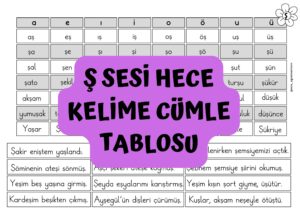 s-sesi-hece-kelime-cumle-tablosu