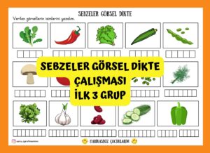 sebzeler-gorsel-dikte-b-sesi