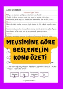 mevsimine uygun beslenelim-konu-ozeti