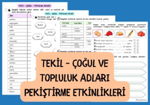 tekil-cogul-ve-topluluk-adlari-pekistirme-etkinlikleri