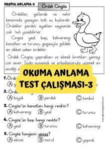 okuma-anlama-test-calismasi-3