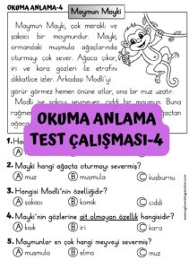 okuma-anlama-test-calismasi-4