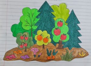 bitkiler-defter-calismasi