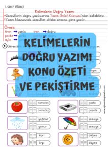 kelimelerin-dogru-yazimi-konu-ozeti-ve-pekistirme