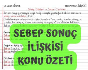 sebep-sonuc-iliskisi-konu-ozeti-ve-pekistirme