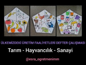 ulkemizdeki-uretim-faaliyetleri-defter-calismasi-2