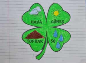 bitkilerin-ihtiyaclari-defter-calismasi
