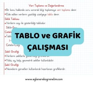 veri-toplama-ve-degerlendirme-konu-ozeti