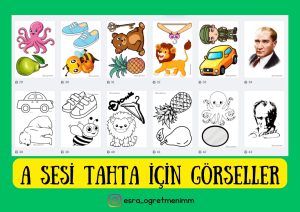 a-sesi-tahta-icin-gorseller