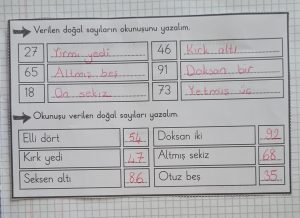 dogal-sayilari-okuma-ve-yazma-defter-calismasi