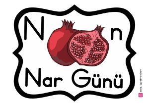 nar-gunu-etkinligi