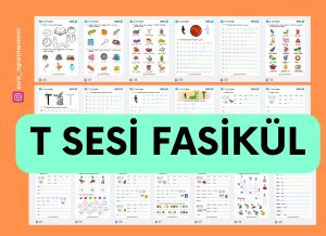 t-sesi-fasikul